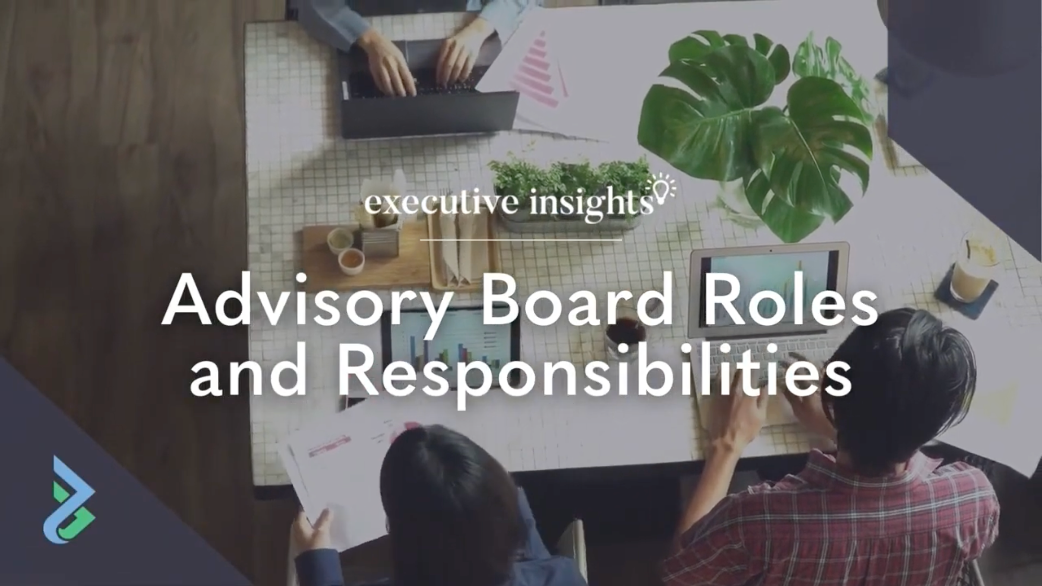 Charger la vidéo : The Rise of Advisory Boards